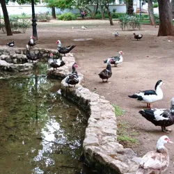 Parque de la Paz - Zafra