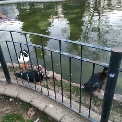 Parque de la Paz - Zafra