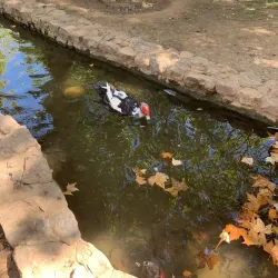 Parque de la Paz - Zafra