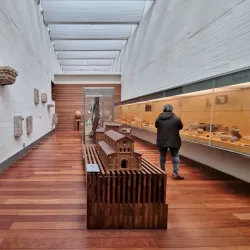 Museo de Zamora - Zamora