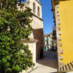 Museo de Zamora - Zamora