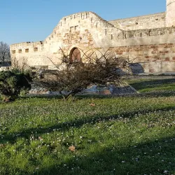 Zamora Cathedral (Catedral de Zamora) - Zamora