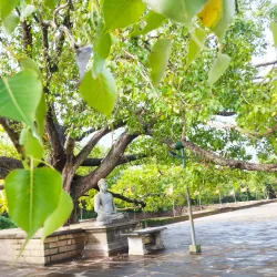 Abhayagiri Monastery - Anuradhapura