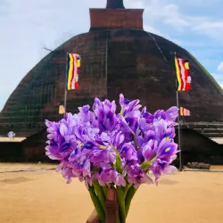 Jetavanaramaya Stupa - Anuradhapura
