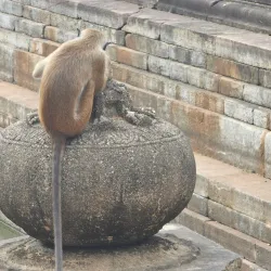Kuttam Pokuna (Twin Ponds) - Anuradhapura