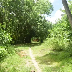 Naka Vihara - Anuradhapura