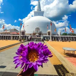 Ruwanwelisaya Stupa - Anuradhapura