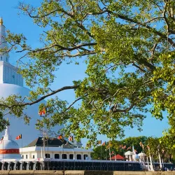 Ruwanwelisaya Stupa - Anuradhapura