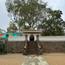 Sri Maha Bodhi - Anuradhapura