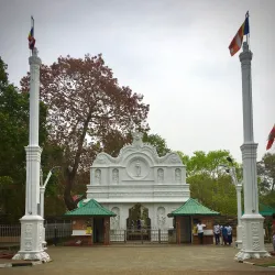 Sri Maha Bodhi - Anuradhapura