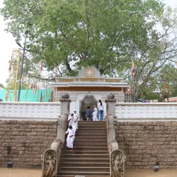 Sri Maha Bodhi - Anuradhapura