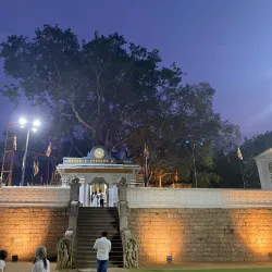 Sri Maha Bodhi - Anuradhapura