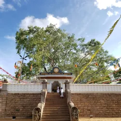 Thuparamaya Stupa - Anuradhapura
