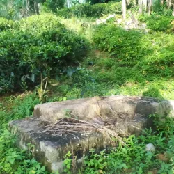 Avissawella Maha Saman Devalaya - Avissawella