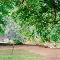 Bopath Ella Waterfall - Avissawella