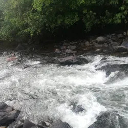 Bopath Ella Waterfall - Avissawella