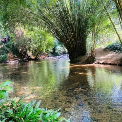 Bopath Ella Waterfall - Avissawella