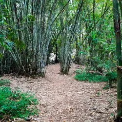 Bopath Ella Waterfall - Avissawella