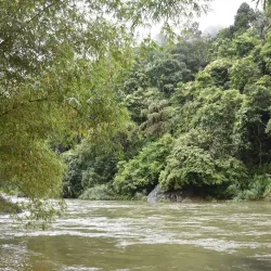 Kelani River - Avissawella