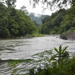 Kelani River - Avissawella