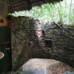 Kitulgala Rainforest Reserve - Avissawella