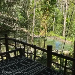 Kitulgala Rainforest Reserve - Avissawella