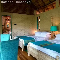 Kitulgala Rainforest Reserve - Avissawella