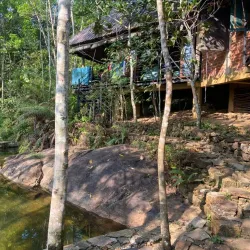 Kitulgala Rainforest Reserve - Avissawella