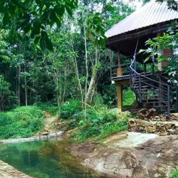 Kitulgala Rainforest Reserve - Avissawella