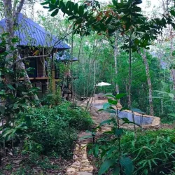 Kitulgala Rainforest Reserve - Avissawella