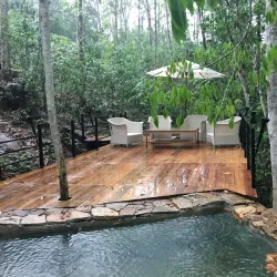 Kitulgala Rainforest Reserve - Avissawella