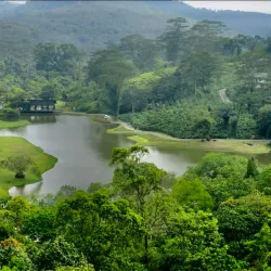 Seethawaka Botanical Garden - Avissawella