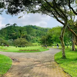 Seethawaka Botanical Garden - Avissawella