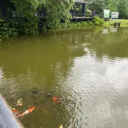 Seethawaka River - Avissawella