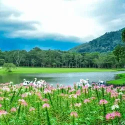 Seethawaka River - Avissawella