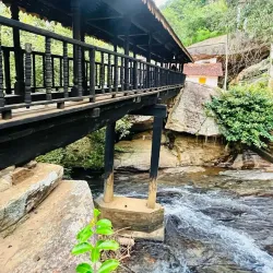 Bogoda Wooden Bridge - Badulla