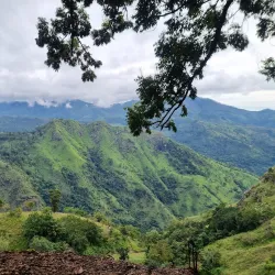 Ella Rock - Bandarawela