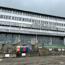 Tea Plantations Around Bandarawela - Bandarawela