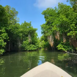 Bentota River Safari - Beruwala