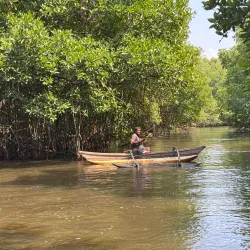 Bentota River Safari - Beruwala