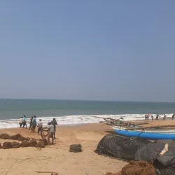 Beruwala Fish Market - Beruwala
