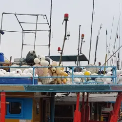 Beruwala Fish Market - Beruwala