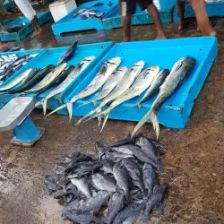 Beruwala Fish Market - Beruwala