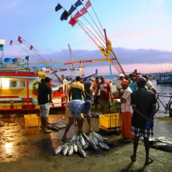 Beruwala Fish Market - Beruwala