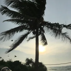 Beruwala Fish Market - Beruwala