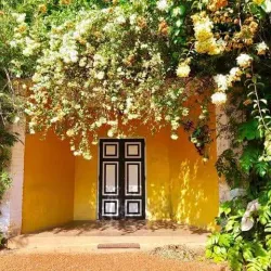 Brief Garden Art Gallery - Beruwala