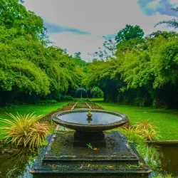 Brief Garden - Beruwala
