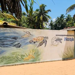 Kosgoda Turtle Hatchery - Beruwala