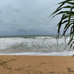 Kosgoda Turtle Hatchery - Beruwala