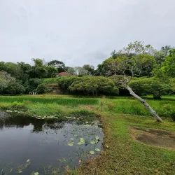 Lunuganga Estate - Beruwala
